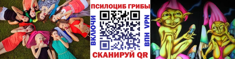 Галлюциногенные грибы Cubensis  купить наркотики сайты  Мензелинск 